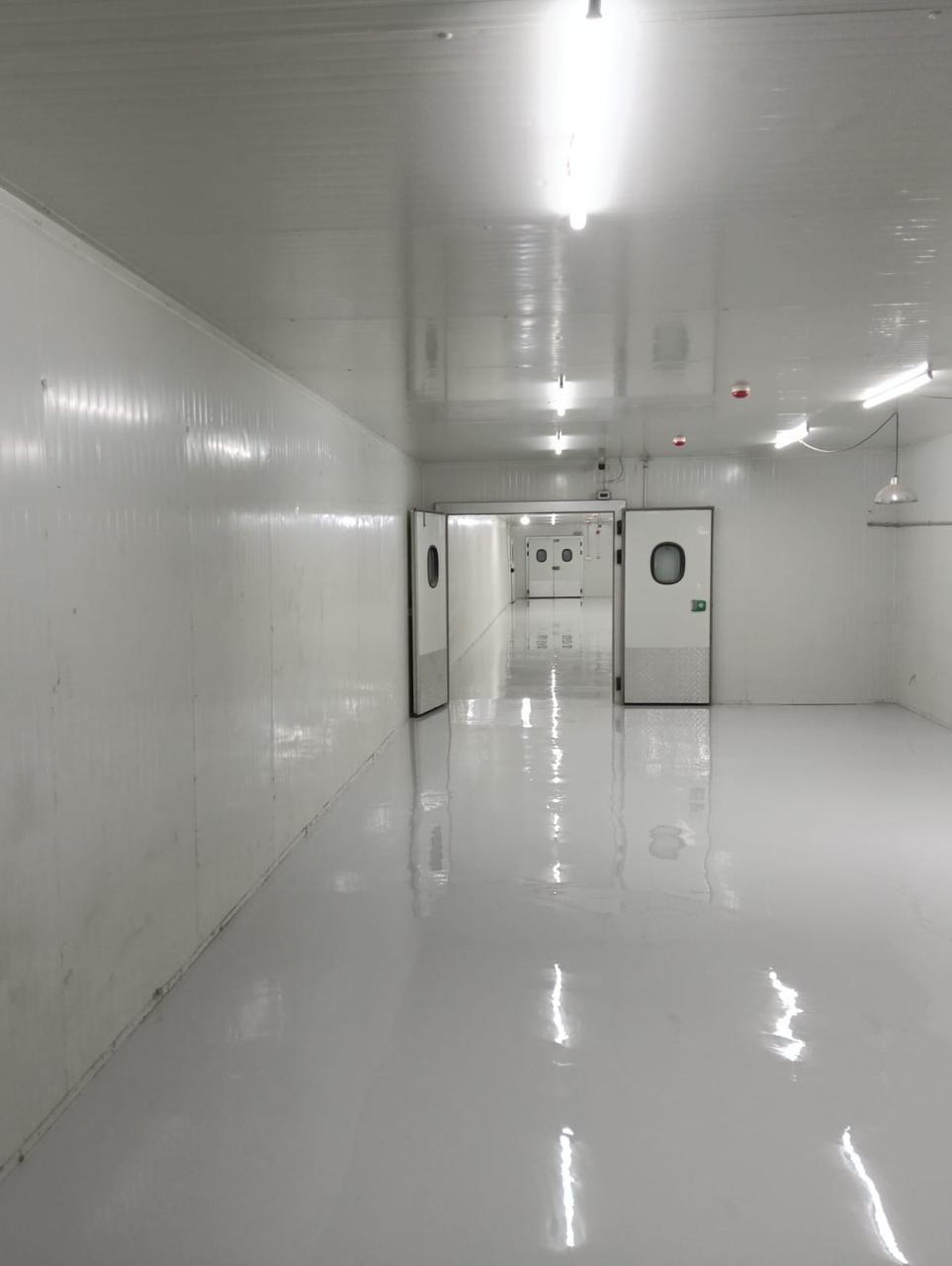 f Indian CAs in the UAE: What’s Fuelling the Demand?